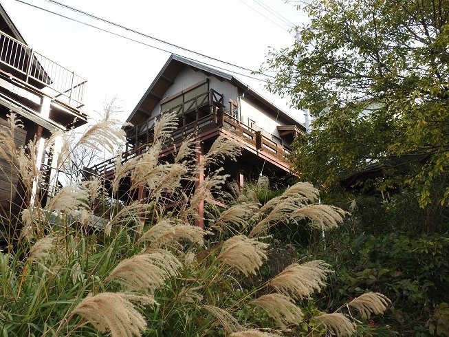 区画No.60