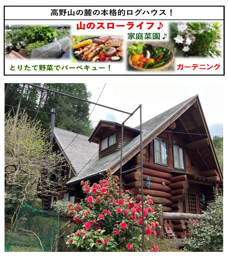 高野山麓の本格的中古ログハウス